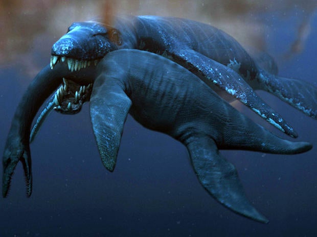 P. funkei likely preyed on plesiosaurs, related long-necked, small-headed reptiles.