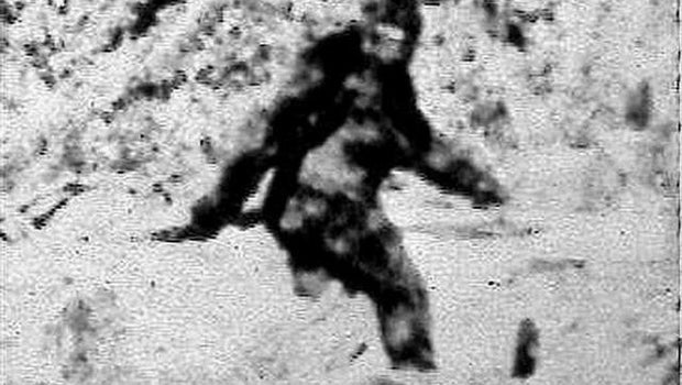 Cryptozoology