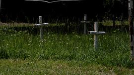 Unmarked gave sites on the grounds of the Dozier School for Boys.