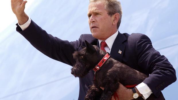 Former first dog Barney dies, Bush honors with oil painting - CBS News