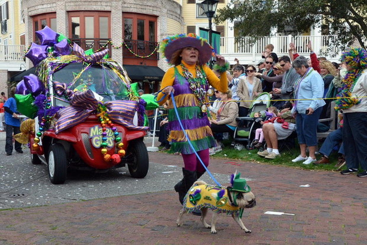 Mardi Gras dog parade Photo 4 Pictures CBS News