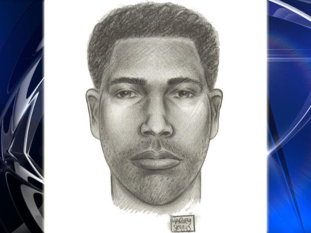 South Ozone Park Forcible Touching Suspect Sketch 