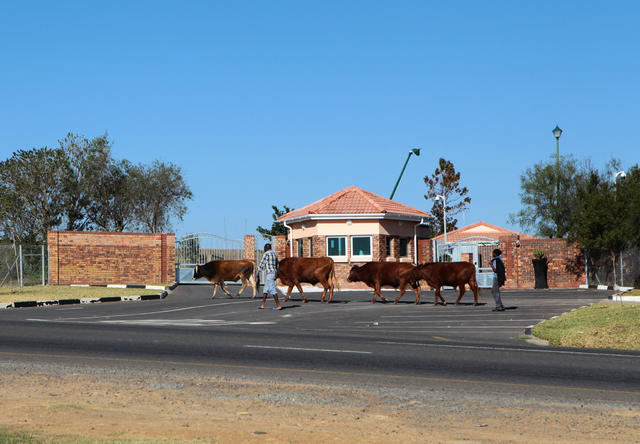 Exploring Qunu Nelson Mandela S Home Village Cbs News