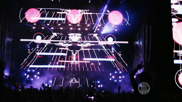 The scene at Electric Zoo in New York City.