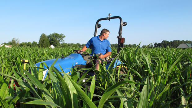 Timothy Day backs up his tractor as he cuts a design into a corn field in Fuquay-Varina, N.C., on Aug. 24, 2013