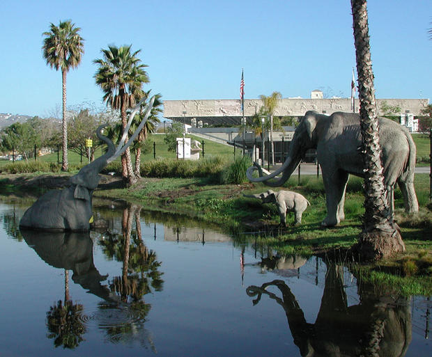 Page Museum at the La Brea Tar Pits 