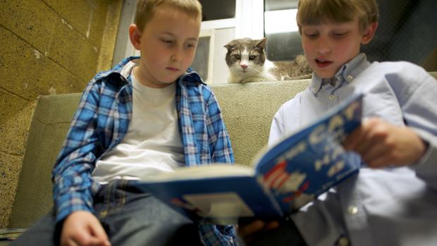 Kids read to cats 