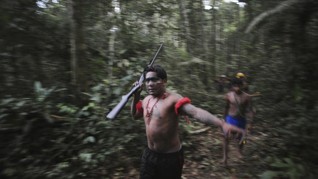 Brazil Uncontacted Tribe Alleged Murders In Amazon Rainforest Of Javari Valley See Police Arrest
