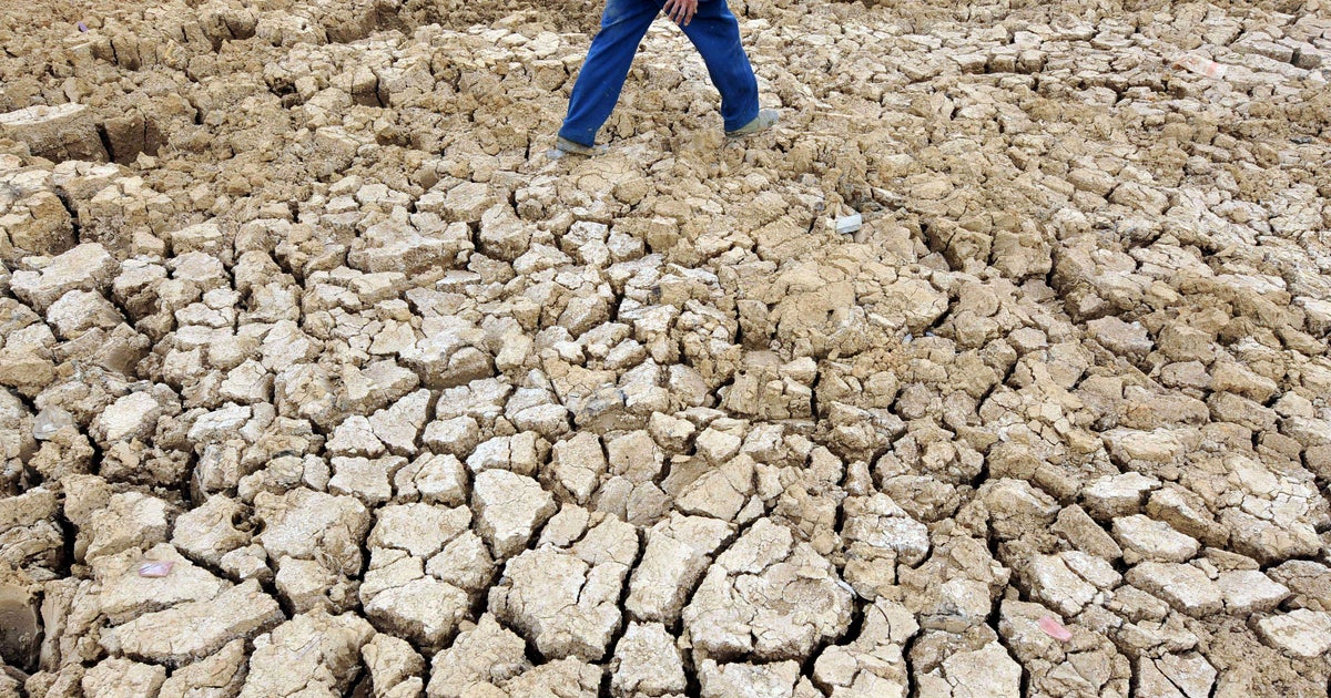 Less rainfall not the only risk factor in widespread drought, study