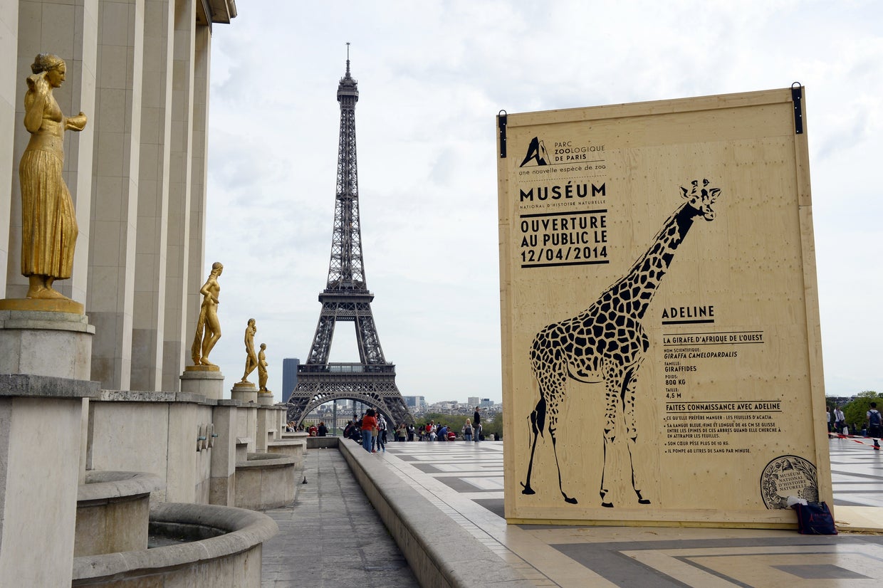 Paris zoo reopens CBS News