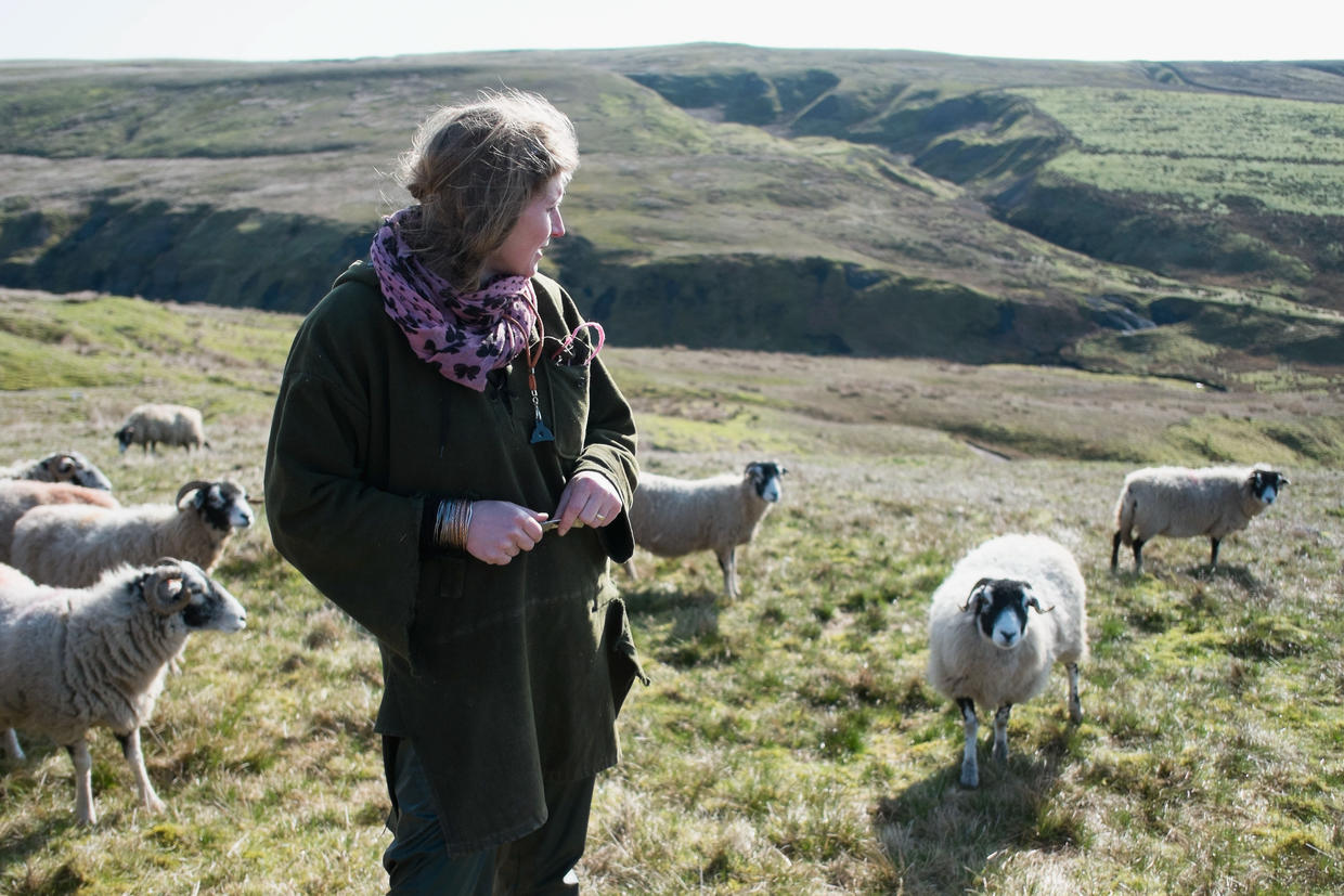 Yorkshire Life for a Yorkshire shepherdess Pictures CBS News