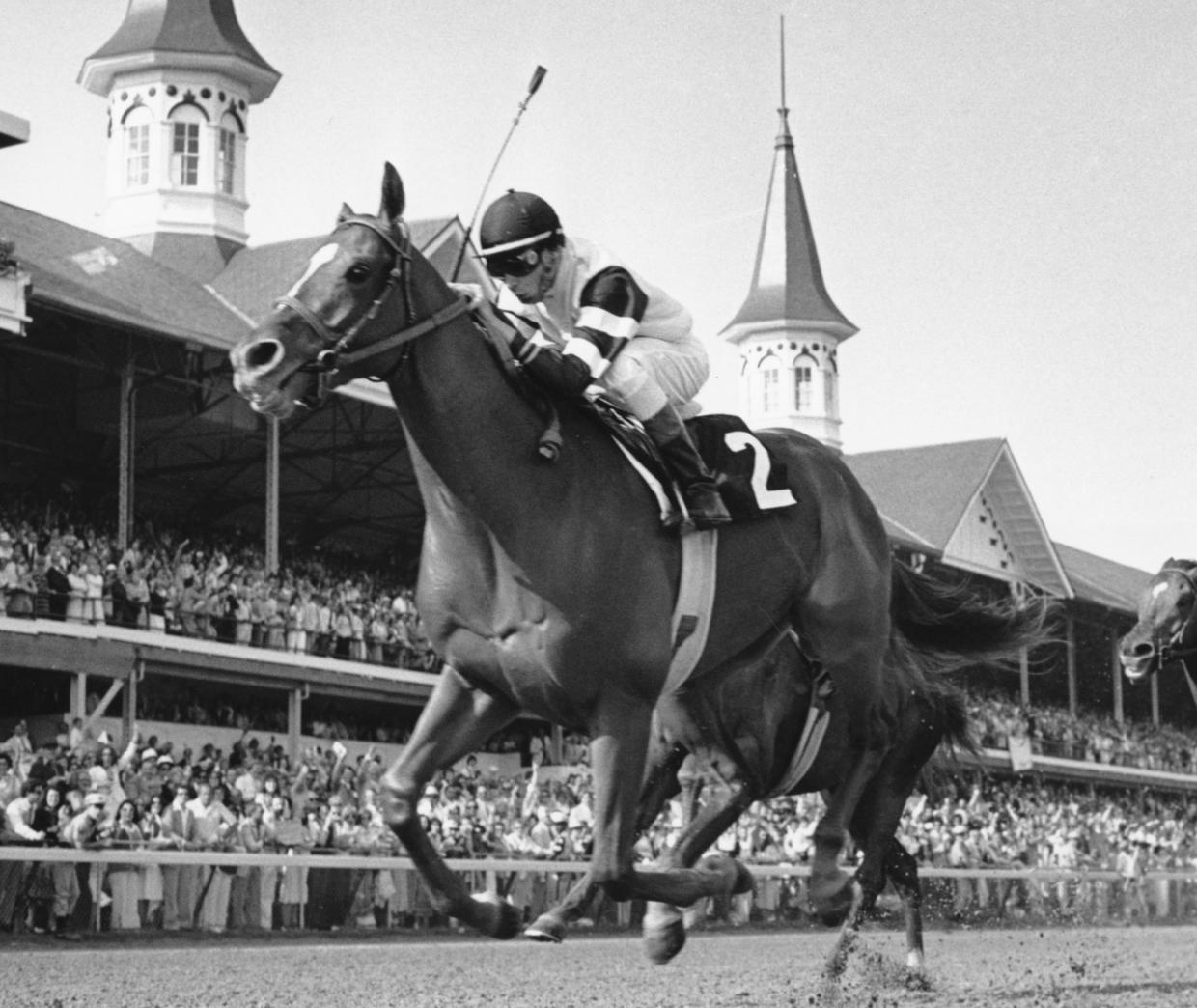 Top 101+ Images pictures of triple crown winners Sharp