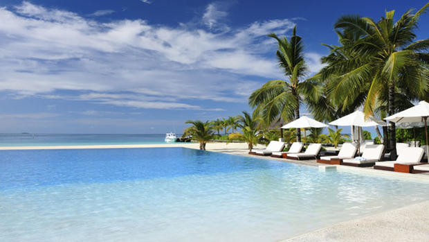 beach resort water palm trees 
