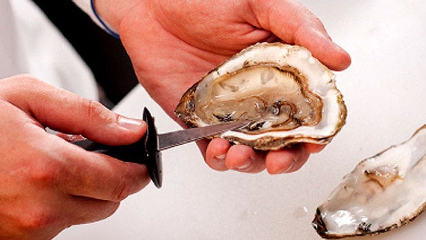 How dangerous are raw oysters? Woman's death from flesheating bacteria