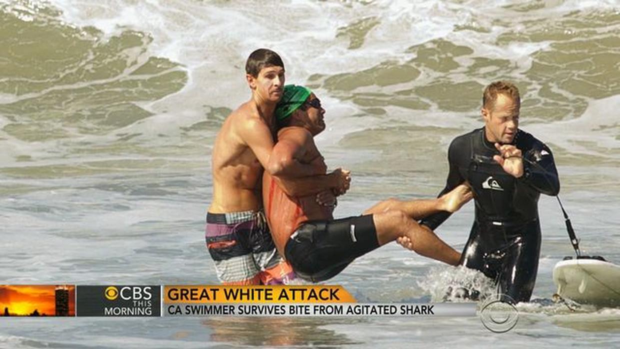 Teen Kayaker Attacked By Great White Shark Attacks Warning Graphic