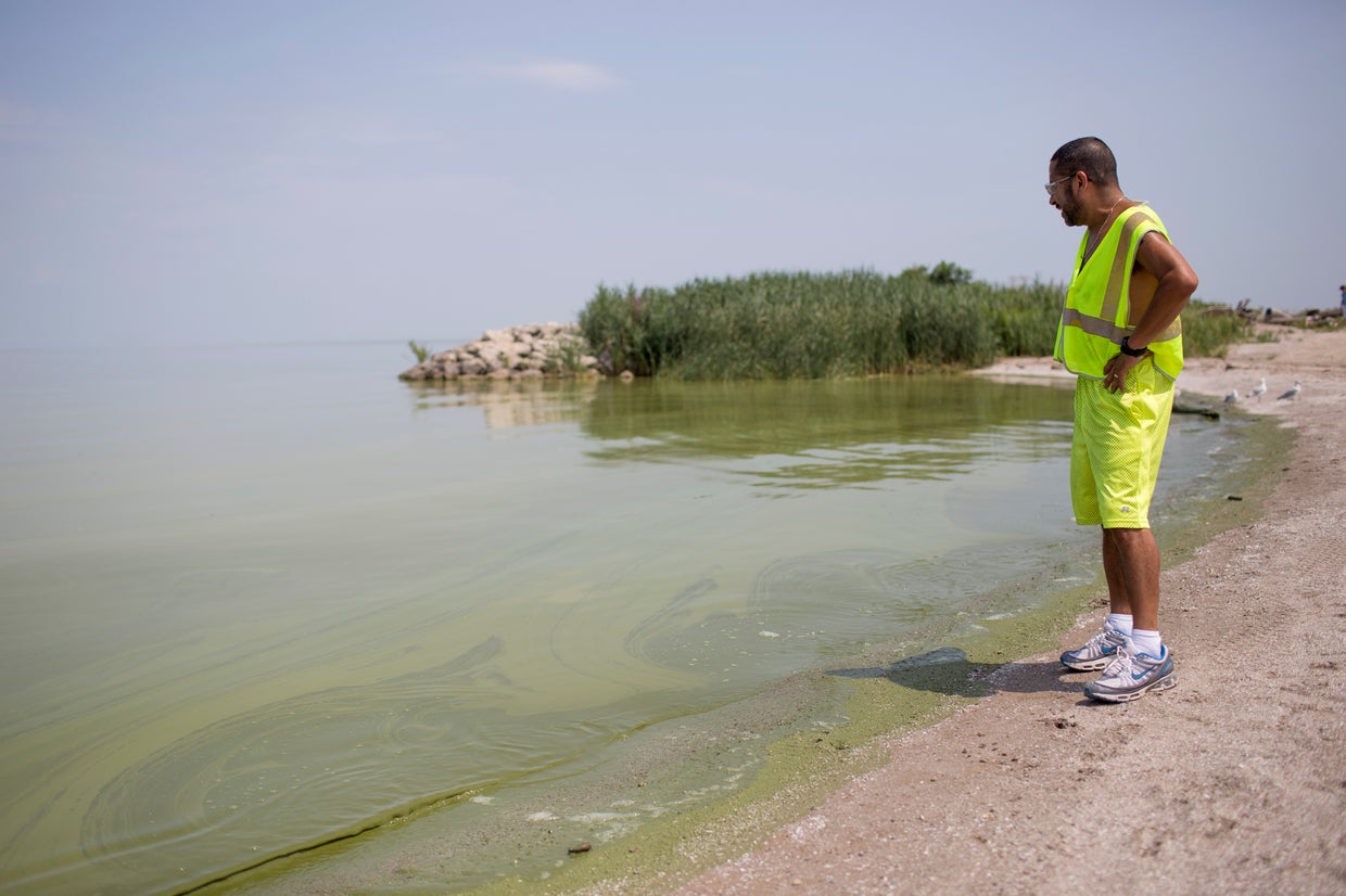 Algae spreads across Lake Erie