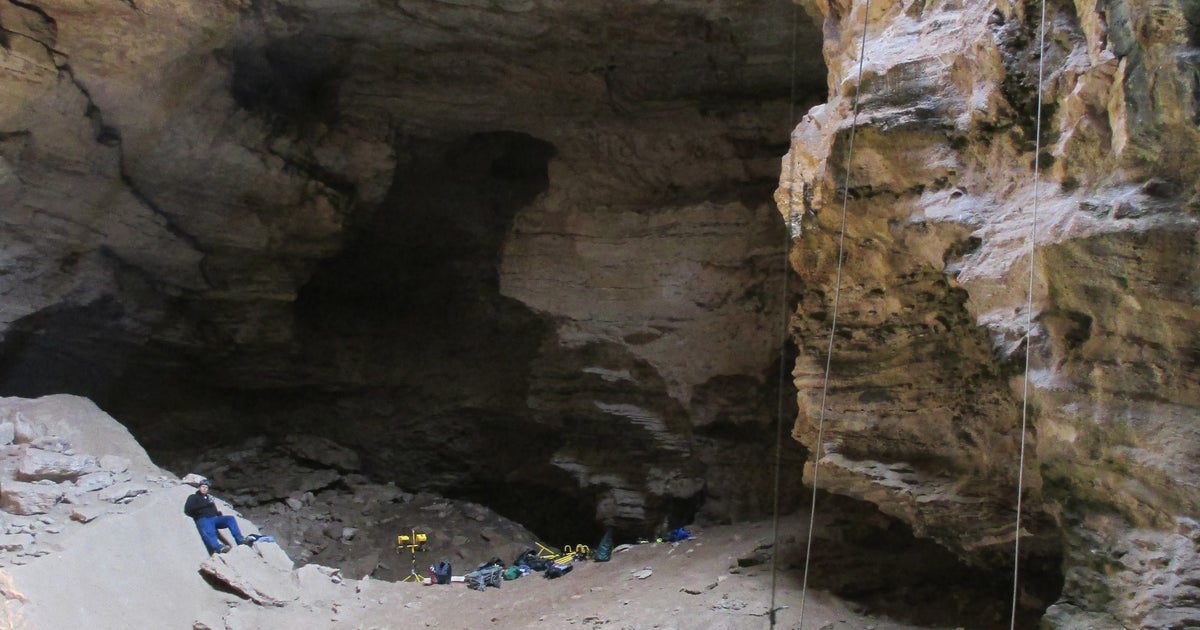Incredible trove of ancient bones unearthed in Wyoming's Natural Trap