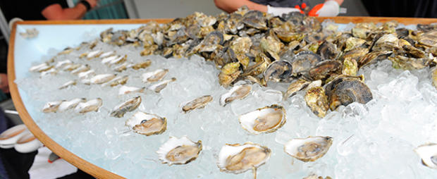 610 header oysters 