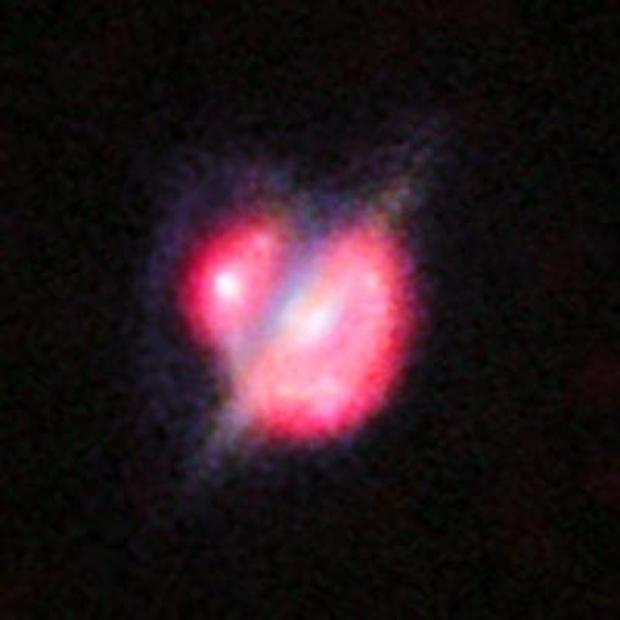 78336web.jpg