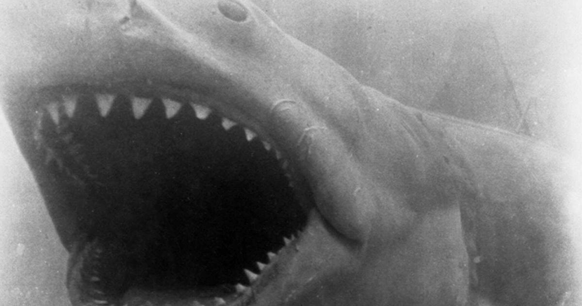 Years Later Jaws Still Alive On Martha S Vineyard Cbs News