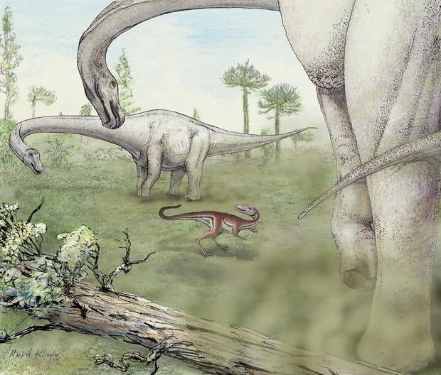 artist-rendering-1-klingler-dreadnoughtus-reconstruction.jpg