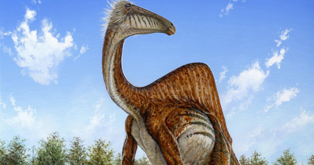"One of the weirdest dinosaurs" ever discovered - CBS News