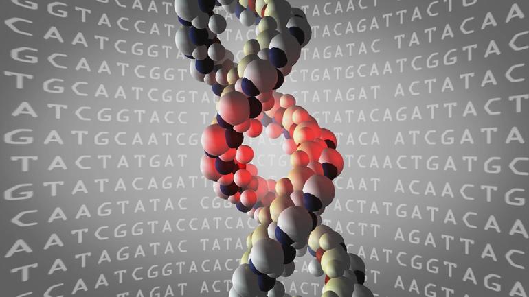 dna.jpg