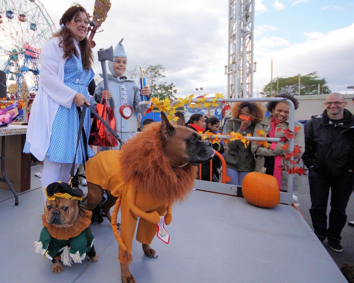 Dogs on Parade Halloween 2014 Dogs on parade CBS News