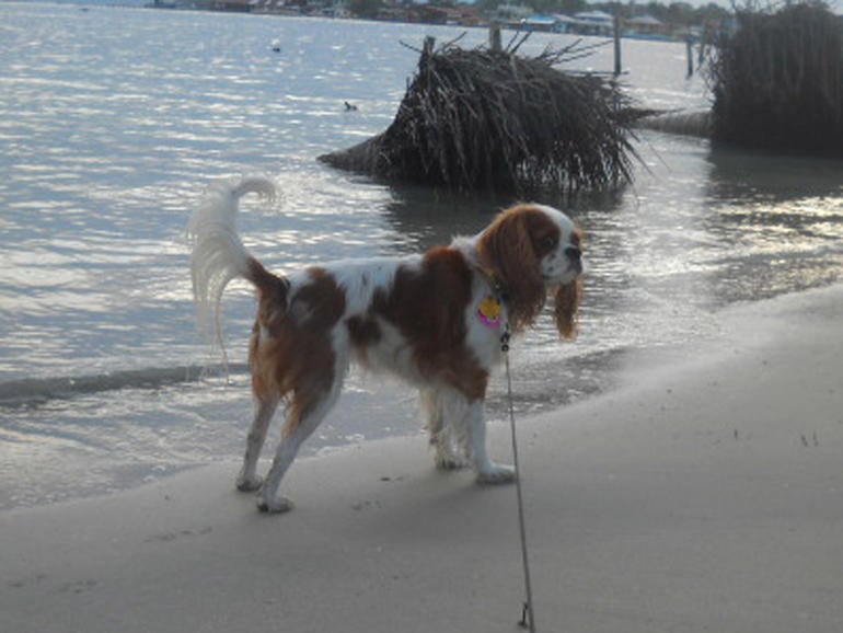 georgias-first-morning-walk.jpg