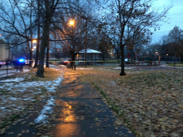 tamirrice2112314.jpg