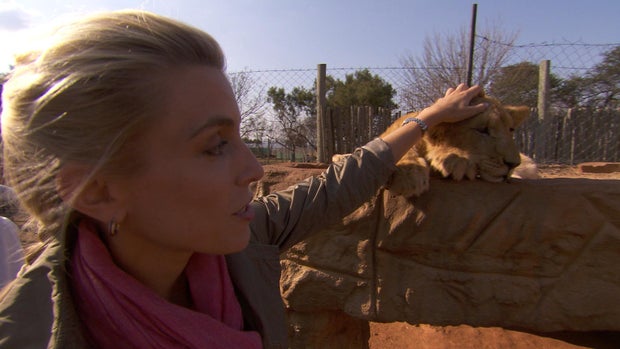 Clarissa Ward and lion cub 