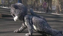 cbsn021015zoo.jpg