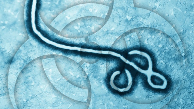 ebolagraphicgeneric.jpg