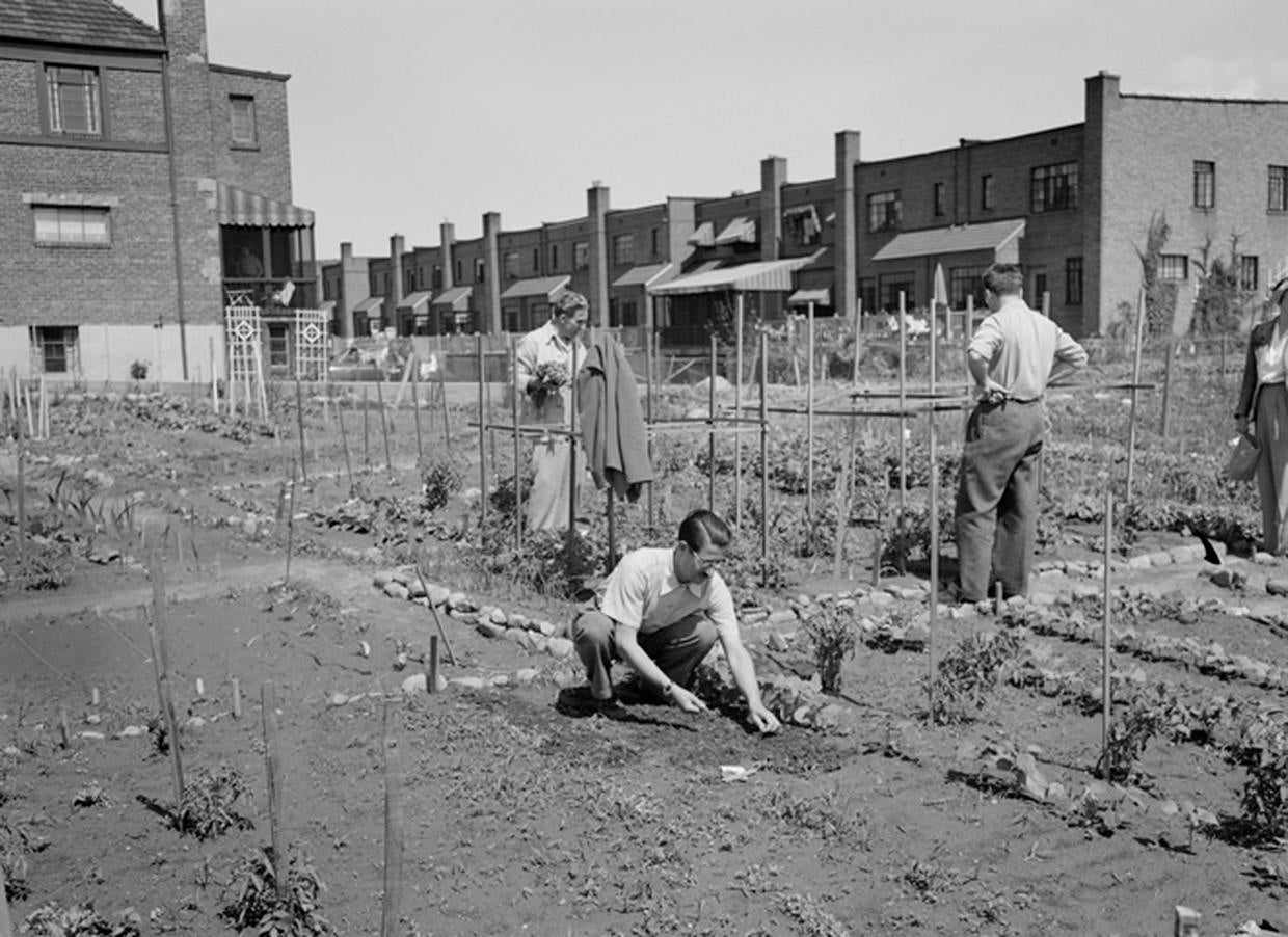 "Going Our Way?" Propaganda art for WWII Victory Gardens CBS News