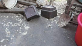 carnedeperro.jpg