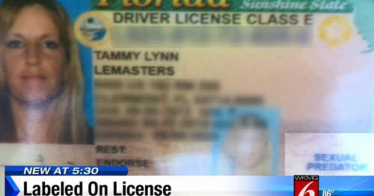 dmvflorida org drivers license check