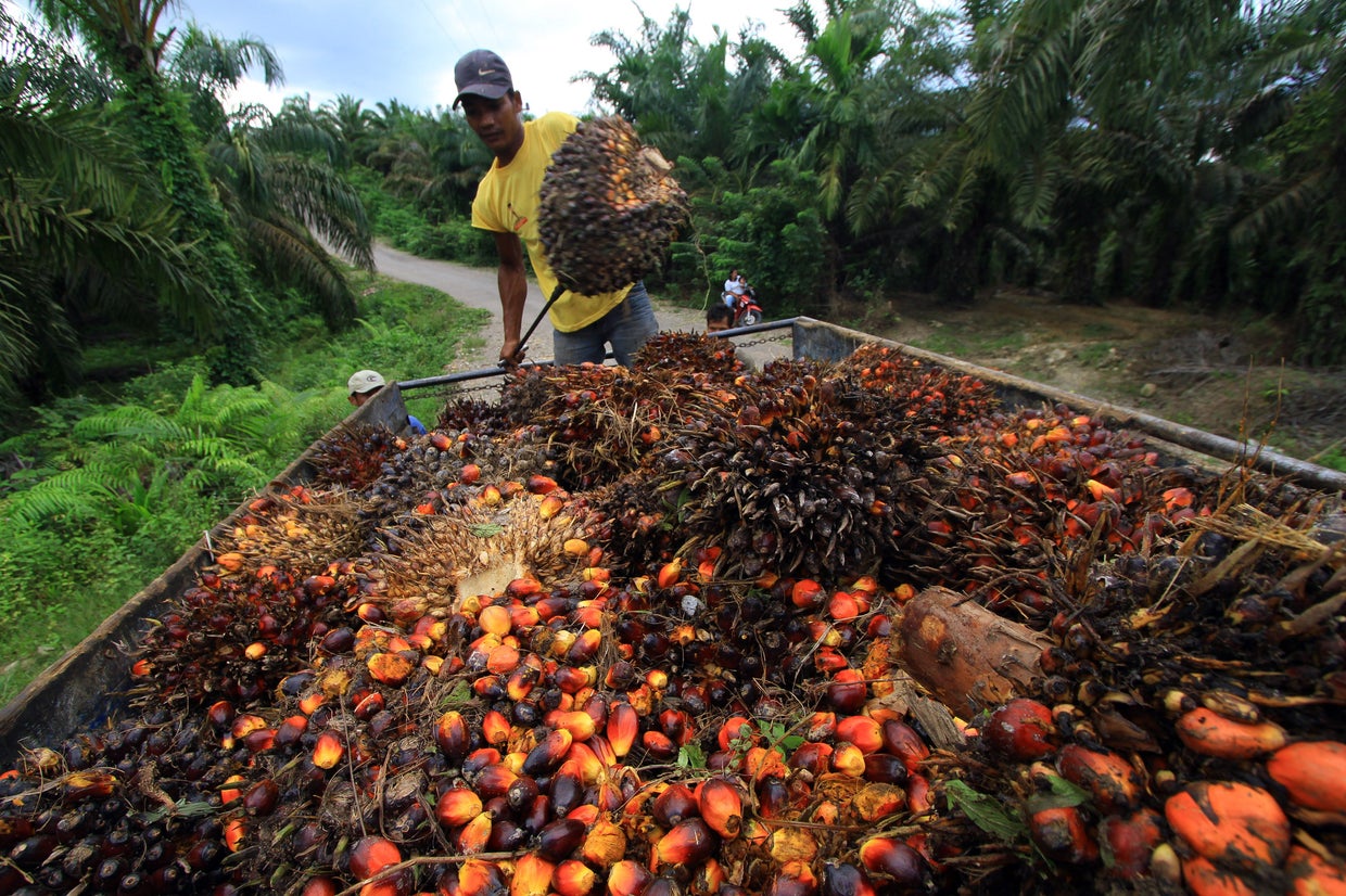 Care about forests? Stop eating Nutella, French minister says CBS News