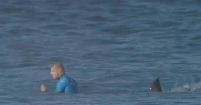 Pro surfer fights off attacking shark CBS News