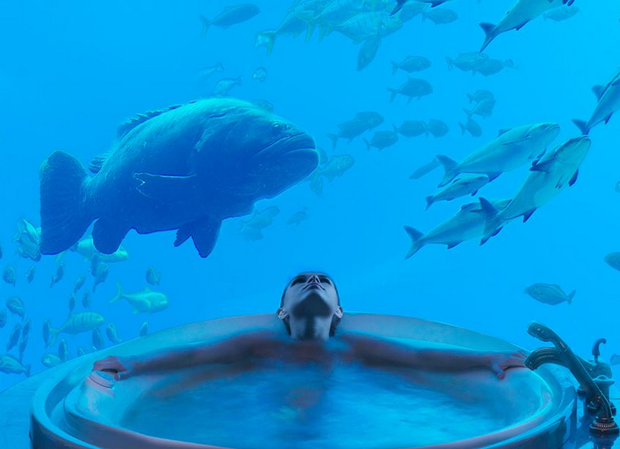Poseidon Underwater Suite World S Craziest Hotel Rooms