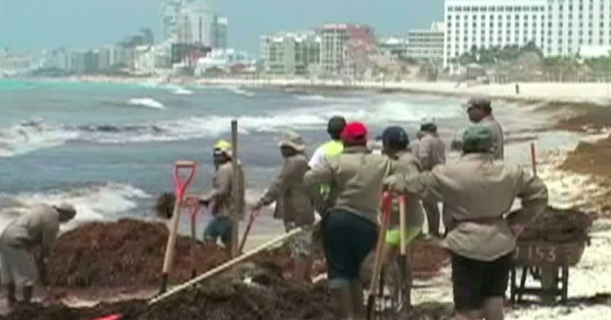 residents nursing 8 home dead suman en de en limpieza Cancún, infractores a Se la playas