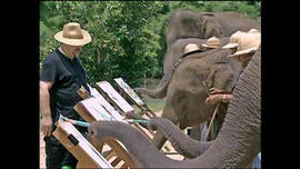 elephantmainedit.jpg