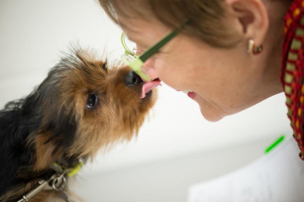 dog and vet.jpg