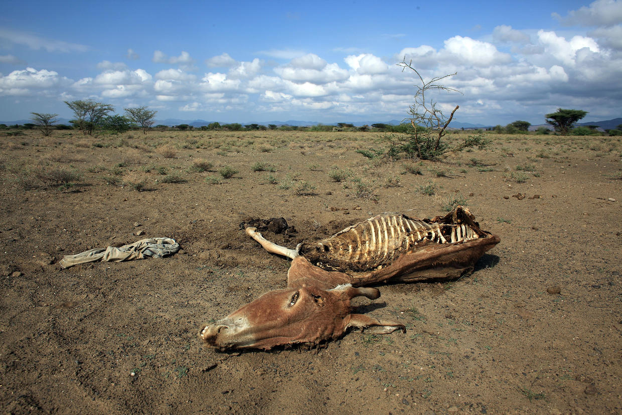 Stunning photos of climate change