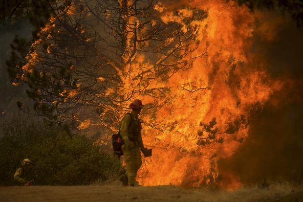cal-fire.jpg