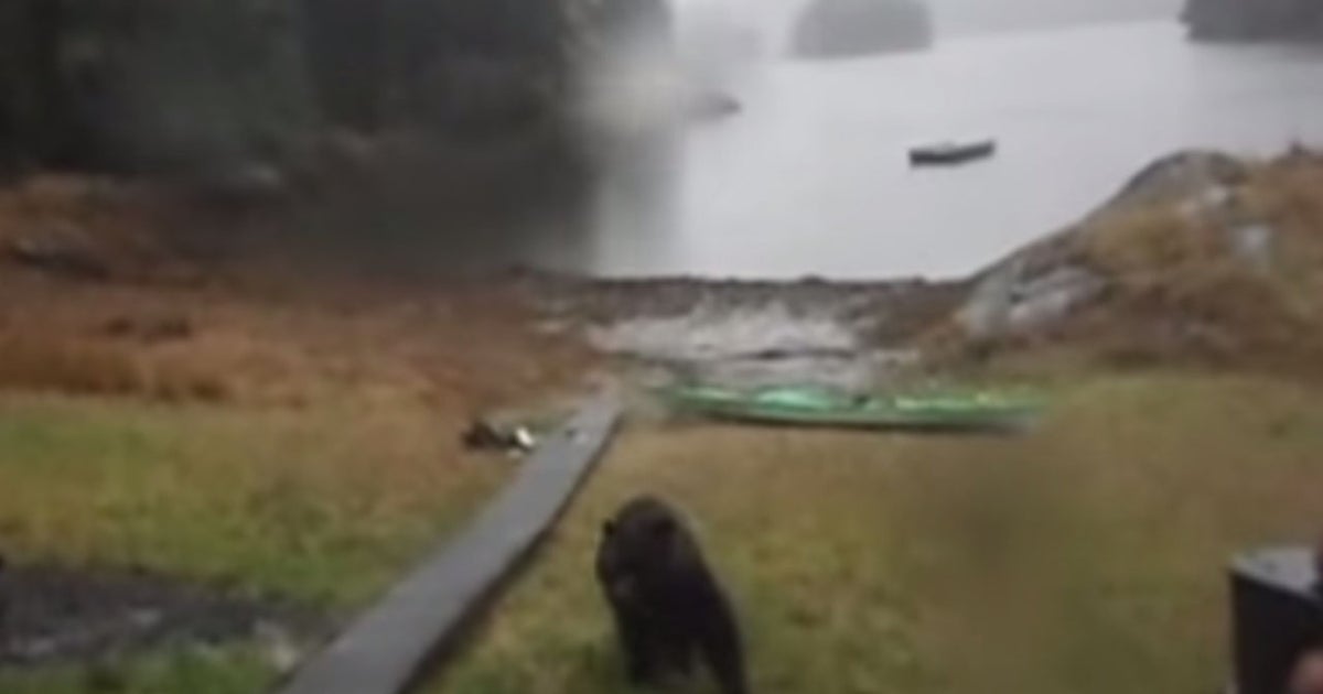 Bear attacks womans kayak in Alaska victim Mary Maley puts it on