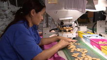 doanebutton-town1008-transferframe3683.jpg