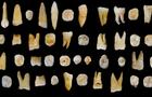 human-teeth-china-cave.jpg 
