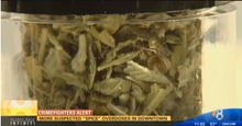 cbs-san-diego-synthetic-marijuana-22spice22.png