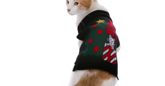 sweaters for cats petsmart