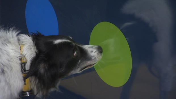 sky-touch-screen.jpg